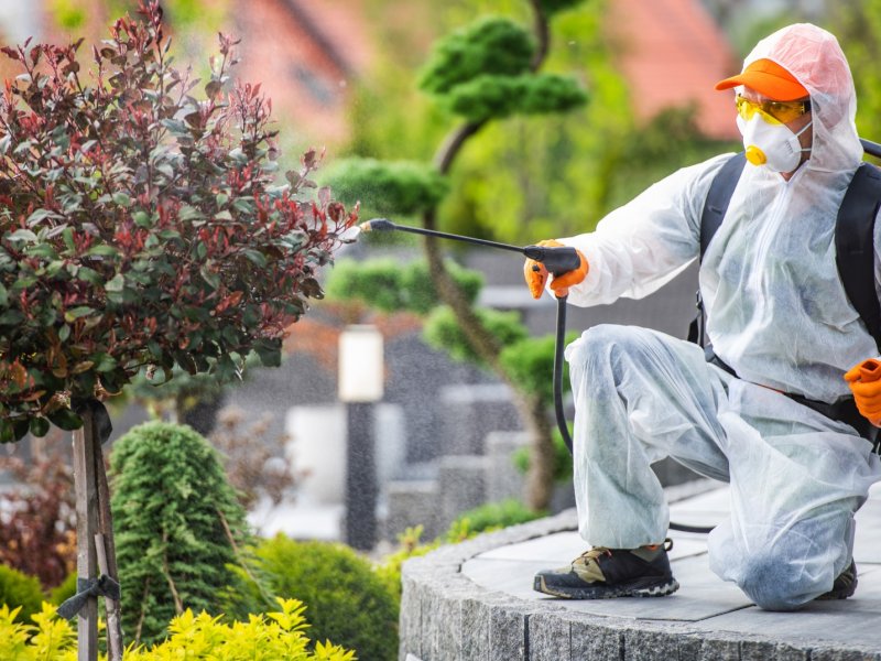 Eyyübiye Haşere İlaçlama